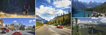 Amazing scenery and wildife in Banff, Alberta