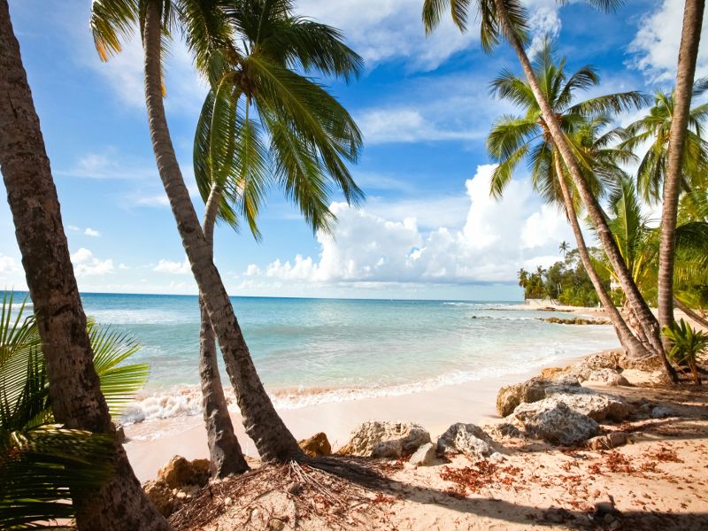 West Coast of Barbados