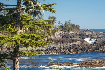 Barkley Sound, Pacific Coast, Vancouver Island