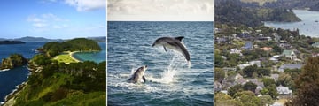 Bay of Islands, Dolphin Watching & Russel Town