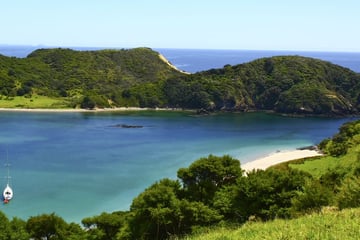 Bay of Islands in the summer