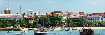 Beach and village in Zanzibar