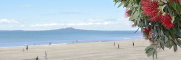 Beaches around Auckland