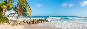 beach in Barbados