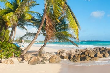 beach in Barbados