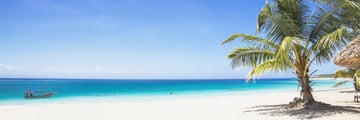 Beach beach in Zanzibar