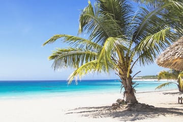 Beach beach in Zanzibar