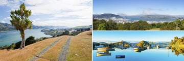 Beautiful Dunedin Coastal Scenery, South Island