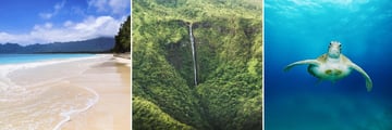 Beach, waterfall and a turtle in Honolulu
