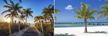 Tropical scenery in Key West, Florida