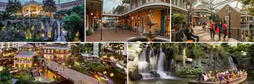 Beautiful Scenery & Activities at the Gaylord Opryland Resort