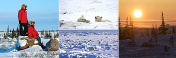 Beautiful Scenery and Sights in Churchill