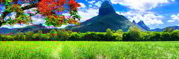 Beautiful views of Mauritius' nature