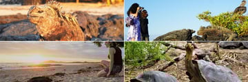 Beautiful wildlife watching in Galapagos