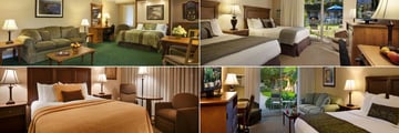 Best Western Plus Pepper Tree Inn, (clockwise from top left): Deluxe King with Twin Sofa, Two Double Bed Room, Deluxe King and King Poolside