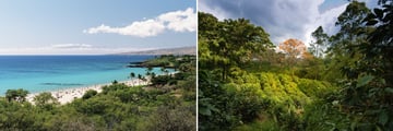 Hawai‘i Island coastline & coffee plantation