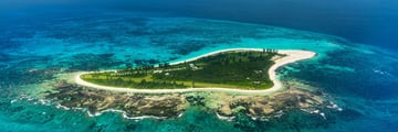 Aerial view of Bird Island
