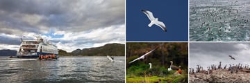 Birdlife Sighting Opportunities
