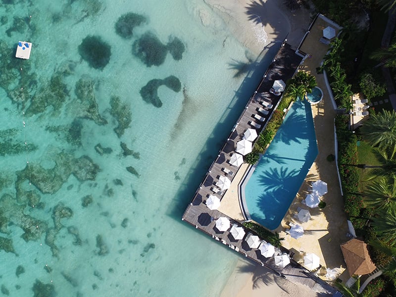 aerial view of the beach and sea at blue waters antigua