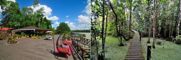 Board walk & jetty, Abai Jungle Lodge