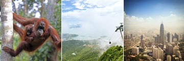Orangutans in Borneo, Langkawi Cable Car & Kuala Lumpur Skyline