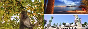 Wildlife in Borneo, Langkawi Beachfront & Architecture in Kuala Lumpur