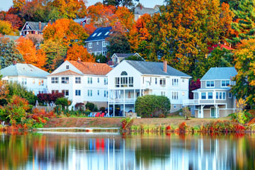 Fall colours in Boston