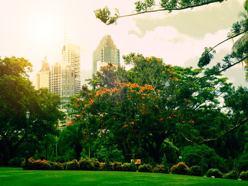 Botanical gardens in Brisbane