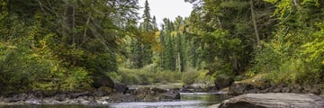 A river in Algonquin Provincial Park