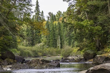 A river in Algonquin Provincial Park