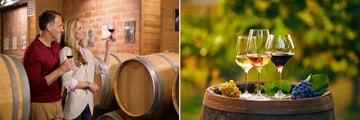 Enjoy wine tasting excursions