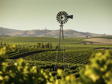 California Wine Country