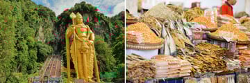 Luxury Cameron Highlands; Batu Caves; Local Food Market.
