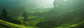 Luxury  Camerion Highlands Escapade; a view over the the Cameron Highlands