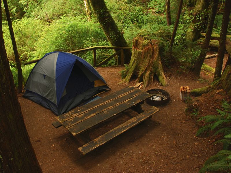 Camping in Redwood National Park