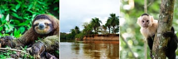 Caño Negro River & Wildlife Sightings, Costa Rica