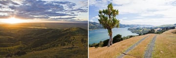 The Canterbury Plains & Coastal Scenery in the city of Dunedin, South Island