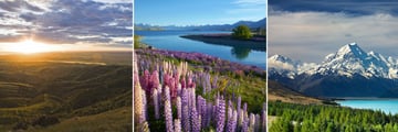 Canterbury Plains, Lake Tekapo & Lake Pukaki