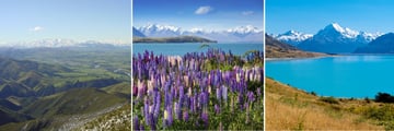 Canterbury Plains, Lake Tekapo & Lake Pukaki
