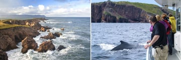 Cape Breton Highlands National Park & Whale Watching Tour