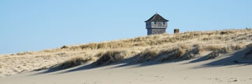 Cape Cod seashore