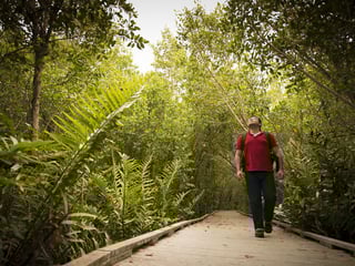 Cape Coral Nature Park