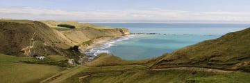 Cape Kidnappers, Napier