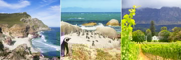 Cape Point headland, Penguins on Boulders Beach & The Winelands