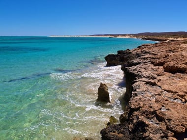 Ningaloo Reef & Coral Coast