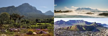 Kirstenbosch Botanical Gardens, Table Mountain and aerial view of Cape Town