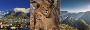 Cape Town, Kruger Lions & Blyde River Canyon