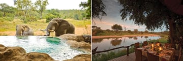 Curious elephants and al fresco dining in Kruger National Park