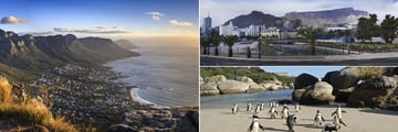 Cape Town vistas & Penguins on Boulders Beach