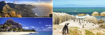 Cape Town panorama, Boulders Beach & Beach at Le Morne